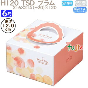 fR[VP[L H120 TSD@v 6 100^P[X O40140 P[L@Ɩp