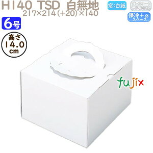 fR[VP[L H140 TSD@n 6 100^P[X P10140 P[L@Ɩp