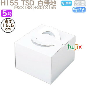 fR[VP[L H155 TSD@n 5 100^P[X P11130 P[L@Ɩp