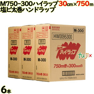 nCbv M750-300 750m×6{i2×3j^P[X Ɩp bvtB P