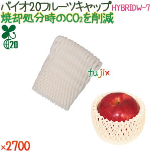 oCI20 t[cLbv HYBRIDW-7 ojzCg 2700i100×27܁j^P[X y500363z