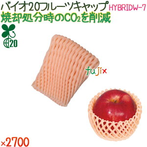 oCI20 t[cLbv HYBRIDW-7 AvRbgIW 2700i100×27܁j^P[X y500365z