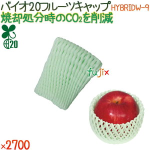 oCI20 t[cLbv HYBRIDW-9 [tO[ 2100i100×21܁j^P[X y500372z