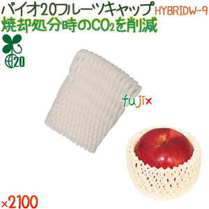 oCI20 t[cLbv HYBRIDW-9 ojzCg 2100i100×21܁j^P[X y500373z