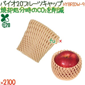 oCI20 t[cLbv HYBRIDW-9 Ntg 2100i100×21܁j^P[X y500374z