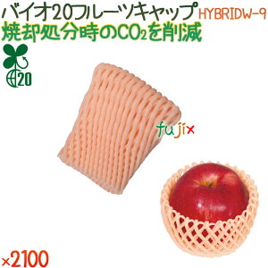 oCI20 t[cLbv HYBRIDW-9 AvRbgIW 2100i100×21܁j^P[X y500375z