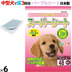 X[p[V[g@Ch F ^ 288i48×6܁j^P[X MR-W48 { pgCpV[g@TmebN