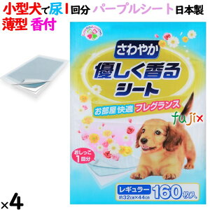 ₩DV[g@M[ F ^ 640i160×4܁j^P[X SU-R160 { pgCpV[g@TmebN