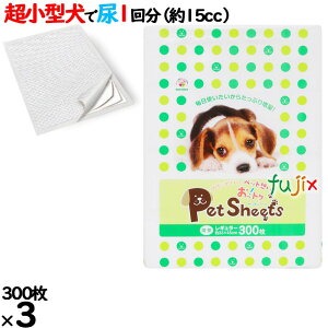 gNybgV[c@M[ F ^ 900i300×3܁j^P[X Ƃ-R300  pgCpV[g@TmebN