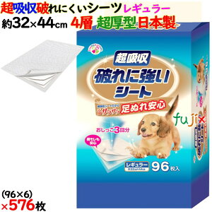 z@jɋV[g@M[ F ^ 576i96×6܁j^P[X MS-R96 { pgCpV[g@TmebN