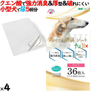 v~ALV[g@Ch F ^ 144i36×4܁j^P[X W-36 { pgCpV[g@TmebN