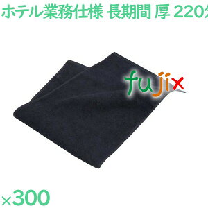 220X߃tFCX^I@ubN 300i60×5܁j^P[X GSW221BK AjeB ^I