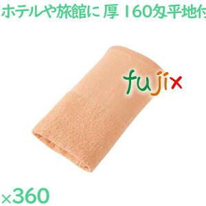 ^I 160敽nt^I@IW 360i60×6܁j^P[X VN160O AjeB ܂Ƃߔ Ɩp