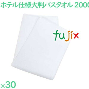 oX^I Ɩp 唻 2000 Ɩp唻oX^I  30i5×6܁j^P[X VN2000W GXe e{