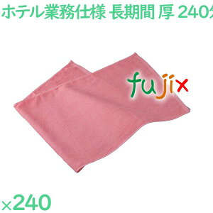 240X߃tFCX^I@sN 240i60×4܁j^P[X VN240P AjeB ^I