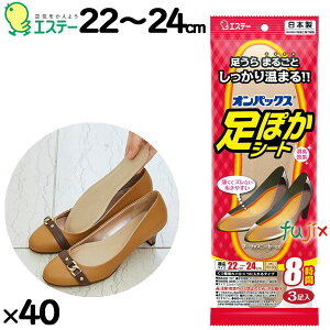 ĝăJC ۂV[g@8ԁ@22cm 120i3×40j^P[X 45601@GXe[