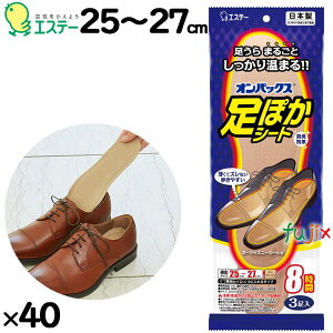 ĝăJC ۂV[g@8ԁ@25cm 120i3×40j^P[X 45602@GXe[