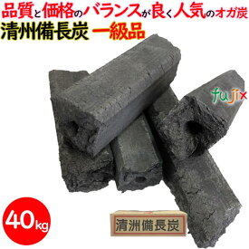 清州備長炭 オガ炭 40kg（10kg×4箱）1級品 炭 練り炭 成形炭 おが炭 オガ備長炭 防災用 燃料 飲食店 焼肉 業務用