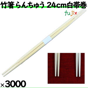 | 񂿂イ 24cm ъ@蔢i ΂j3000Vi100V×30j^P[X ΂yƖp |zyĝĂz
