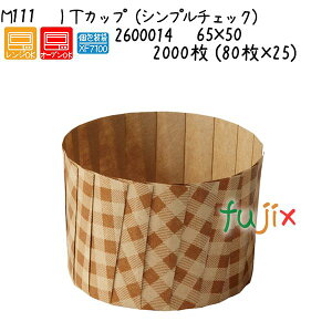 IT�J�b�v�i�V���v���`�F�b�N�j M111 2000�� (80��×25)�^�P�[�X