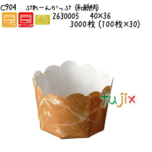 Ղ[񂩂Ձiaj C904 3000 (100×30)^P[X