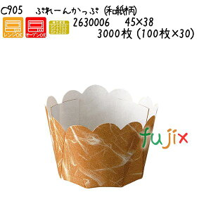 Ղ[񂩂Ձiaj C905 3000 (100×30)^P[X