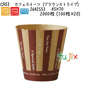 JtFXC[ciuEXgCvj CA53 2000 (100×20)^P[X