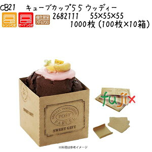 L[uJbv55@EbfB[ CB21 1000 (100×10)^P[X