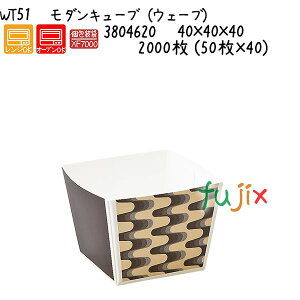 ���_���L���[�u�i�E�F�[�u�j WT51 2000�� (50��×40)�^�P�[�X