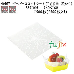 y[p[RRbgV[gi160p@Ԃтj XG409 1500(1500×1)^P[X