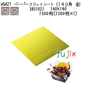 y[p[RRbgV[gi140p@j XG421 1500(1500×1)^P[X