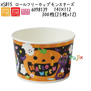 [t[JbviX^[Yj XS815 300(25x12)^P[X