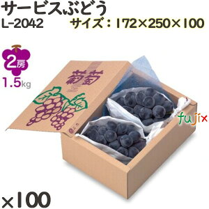 Ԃǂ ϔ L-2042 T[rXԂǂ 100(10×10)^P[X t[cp Mtgp Mtg{bNX  ʕ p ʗp ʕp _{[