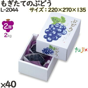 Ԃǂ ϔ L-2044 Ă̂Ԃǂ 40(10×4)^P[X t[cp Mtgp Mtg{bNX  ʕ p ʗp ʕp _{[