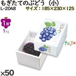 Ԃǂ ϔ L-2048 Ă̂Ԃǂij 50(25×2)^P[X t[cp Mtgp Mtg{bNX  ʕ p ʗp ʕp _{[