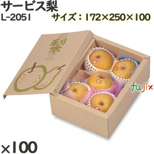  ϔ L-2051 T[rX 100(10×10)^P[X t[cp Mtg{bNX  ʕ p ʗp ʕp Mtgp
