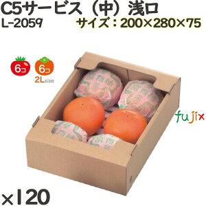 g}g ϔ L-2059 C5T[rXij 120(60×2)^P[X Mtgp Mtg{bNX  ʕ p ʗp ʕp _{[