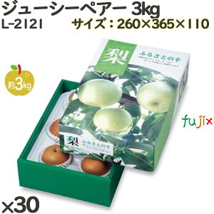  ϔ L-2121 W[V[yA[ 3kg 30(10×3)^P[X t[cp Mtg{bNX  ʕ p ʗp ʕp Mtgp