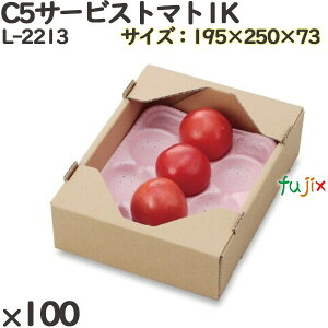 g}g ϔ L-2213 C5T[rXg}g1K 100(25×4)^P[X Mtgp Mtg{bNX  ʕ p ʗp ʕp _{[