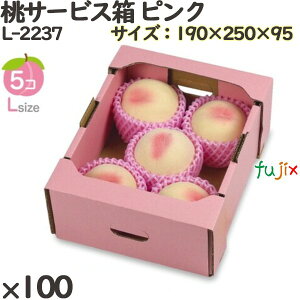  ϔ L-2237 T[rX sN 100(25×4)^P[X  t[cp Mtgp Mtg{bNX  ʕ p ʗp ʕp ϔ