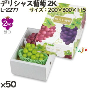 Ԃǂ ϔ L-2277 fVX 2k 50(10×5)^P[X t[cp Mtgp Mtg{bNX  ʕ p ʗp ʕp _{[