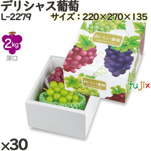 Ԃǂ ϔ L-2279 fVX 30(10×3)^P[X t[cp Mtgp Mtg{bNX  ʕ p ʗp ʕp _{[