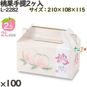  񂰔 L-2282 ʎ 2 100(20×5)^P[X t[cp Mtgp Mtg{bNX  ʕ p ʗp ʕp _{[