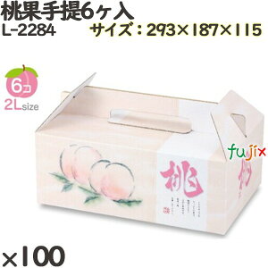  񂰔 L-2284 ʎ 6 100(20×5)^P[X t[cp Mtgp Mtg{bNX  ʕ p ʗp ʕp _{[