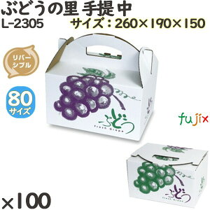 Ԃǂ ϔ L-2305 Ԃǂ̗   100(10×10)^P[X t[cp Mtgp Mtg{bNX  ʕ p ʗp ʕp _{[