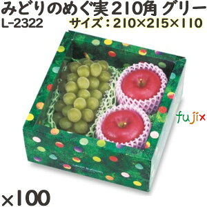 Ԃǂ ϔ L-2322 ݂ǂ̂߂ 210p O[ 100(10×10)^P[X t[cp Mtgp Mtg{bNX  ʕ p ʗp ʕp _{[
