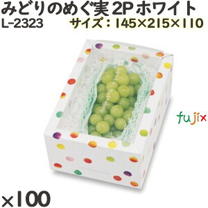 Ԃǂ ϔ L-2323 ݂ǂ̂߂ 2P zCg 100(10×10)^P[X t[cp Mtgp Mtg{bNX  ʕ p ʗp ʕp _{[