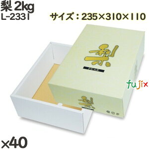  ϔ L-2331  2kg 40(10×4)^P[X t[cp Mtg{bNX  ʕ p ʗp ʕp Mtgp