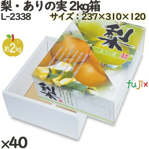  ϔ L-2338 E̎ 2kg 40(10×4)^P[X t[cp Mtg{bNX  ʕ p ʗp ʕp Mtgp