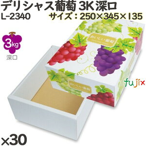 Ԃǂ ϔ L-2340 fVX 3k [ 30(10×3)^P[X t[cp Mtgp Mtg{bNX  ʕ p ʗp ʕp _{[